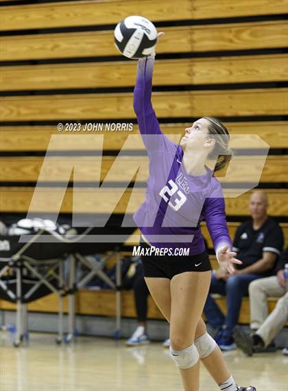 Thumbnail 1 in Leo vs Woodlan (Leo Invite) photogallery.