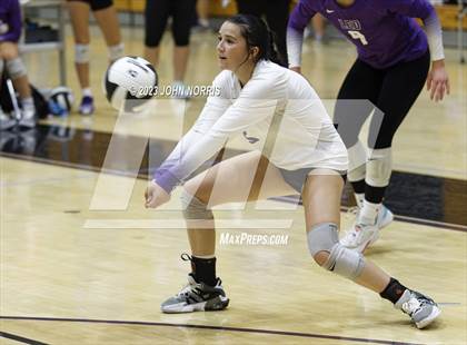 Thumbnail 2 in Leo vs Woodlan (Leo Invite) photogallery.