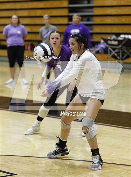 Thumbnail 3 in Leo vs Woodlan (Leo Invite) photogallery.