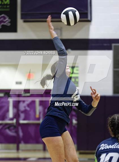 Thumbnail 1 in Leo vs Woodlan (Leo Invite) photogallery.