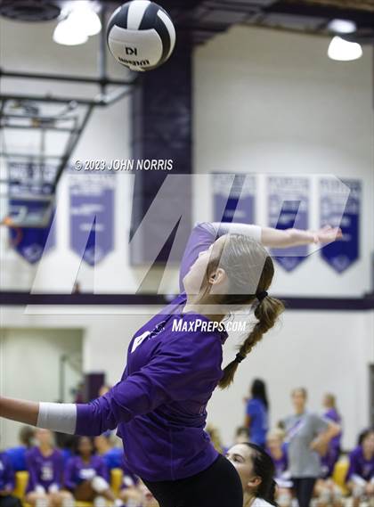 Thumbnail 1 in Leo vs Woodlan (Leo Invite) photogallery.