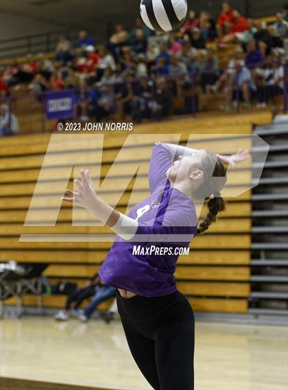 Thumbnail 1 in Leo vs Woodlan (Leo Invite) photogallery.