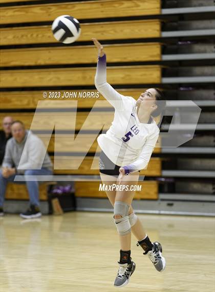 Thumbnail 1 in Leo vs Woodlan (Leo Invite) photogallery.