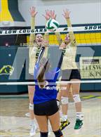 Photo from the gallery "Holbrook @ Show Low"