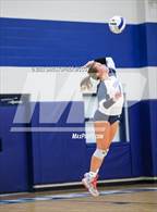 Photo from the gallery "Braden River @ Out-of-Door Academy"