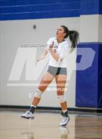 Photo from the gallery "Braden River @ Out-of-Door Academy"