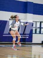 Photo from the gallery "Braden River @ Out-of-Door Academy"