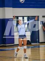 Photo from the gallery "Braden River @ Out-of-Door Academy"