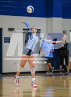 Photo from the gallery "Braden River @ Out-of-Door Academy"