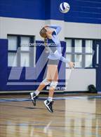 Photo from the gallery "Braden River @ Out-of-Door Academy"