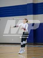 Photo from the gallery "Braden River @ Out-of-Door Academy"