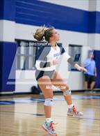 Photo from the gallery "Braden River @ Out-of-Door Academy"