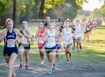 Thumbnail 2 in Cinco Ranch Cross Country @ Strake Jesuit photogallery.