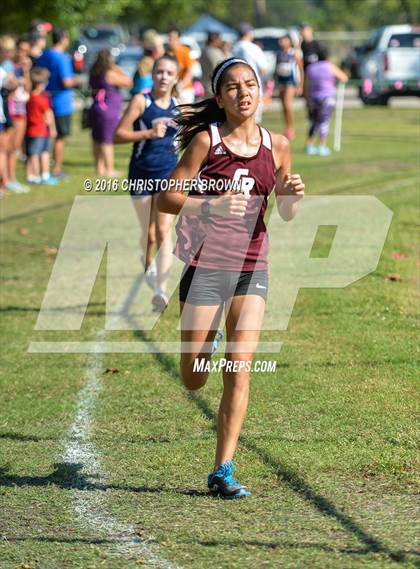 Thumbnail 2 in Cinco Ranch Cross Country @ Strake Jesuit photogallery.