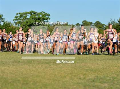 Thumbnail 1 in Cinco Ranch Cross Country @ Strake Jesuit photogallery.