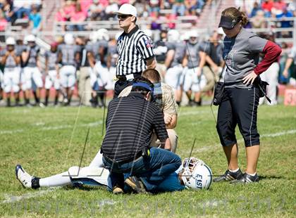 Thumbnail 1 in East @ Belleville West photogallery.
