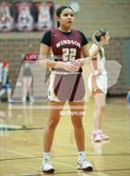 Photo from the gallery "Windsor @ Mead"