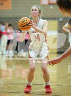 Photo from the gallery "Windsor @ Mead"