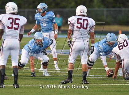 Thumbnail 2 in Cameron Yoe @ China Spring photogallery.