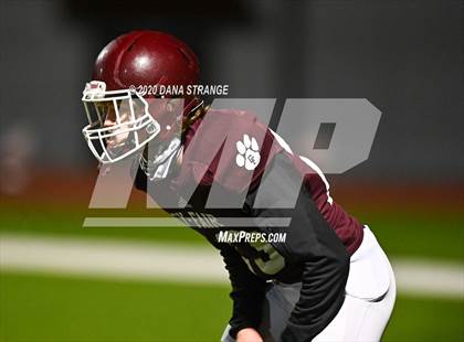 Thumbnail 2 in Klein Cane @ Cy-Fair photogallery.