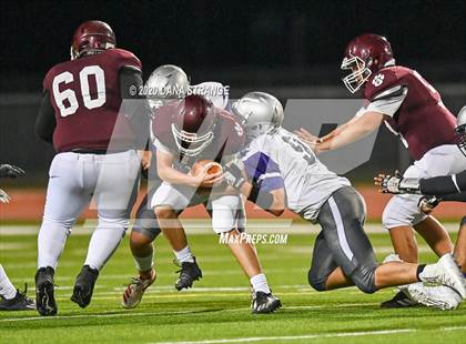 Thumbnail 3 in Klein Cane @ Cy-Fair photogallery.