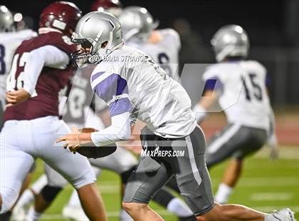 Thumbnail 3 in Klein Cane @ Cy-Fair photogallery.