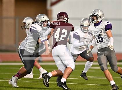 Thumbnail 2 in Klein Cane @ Cy-Fair photogallery.