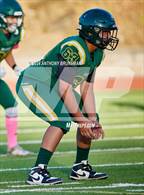 Photo from the gallery "Twelve Bridges @ Placer"