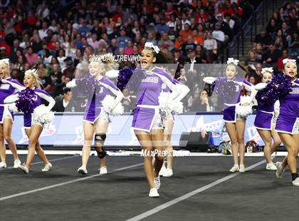 Thumbnail 3 in VHSL State Cheer Competition (Class 6) photogallery.