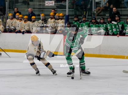 Thumbnail 3 in Pine-Richland @ Central Catholic photogallery.