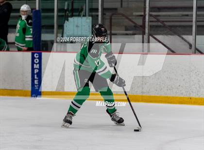 Thumbnail 1 in Pine-Richland @ Central Catholic photogallery.