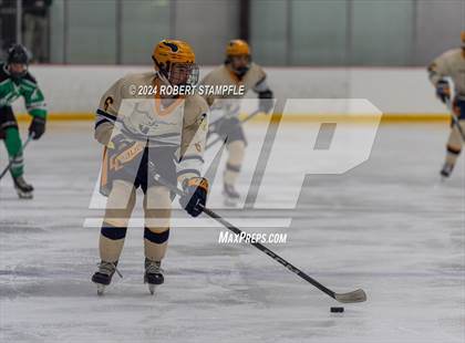 Thumbnail 3 in Pine-Richland @ Central Catholic photogallery.