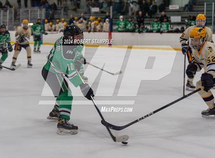 Thumbnail 1 in Pine-Richland @ Central Catholic photogallery.