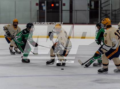Thumbnail 3 in Pine-Richland @ Central Catholic photogallery.