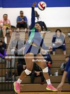 Photo from the gallery "Forest Park @ Flint Hill"