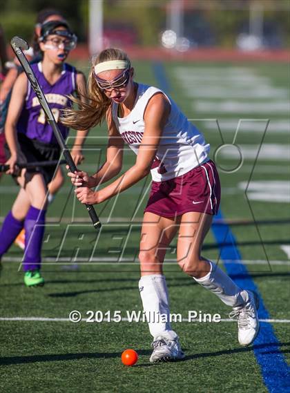 Thumbnail 3 in Rhinebeck @ Kingston photogallery.