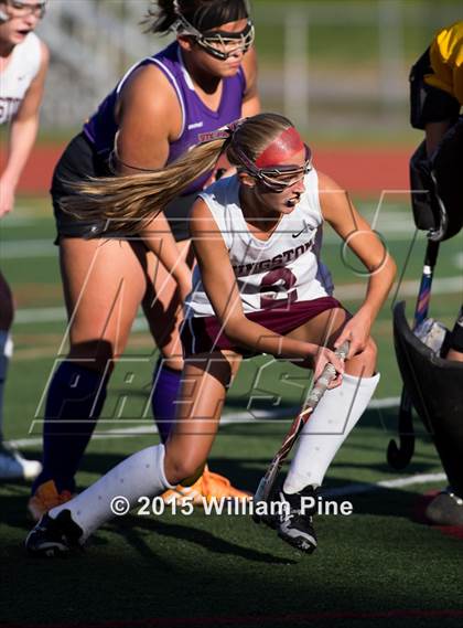 Thumbnail 1 in Rhinebeck @ Kingston photogallery.