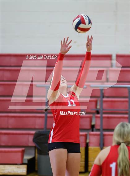 Thumbnail 2 in Albany vs  Aspermont (Eastland Volleyball Showdown 2025) photogallery.