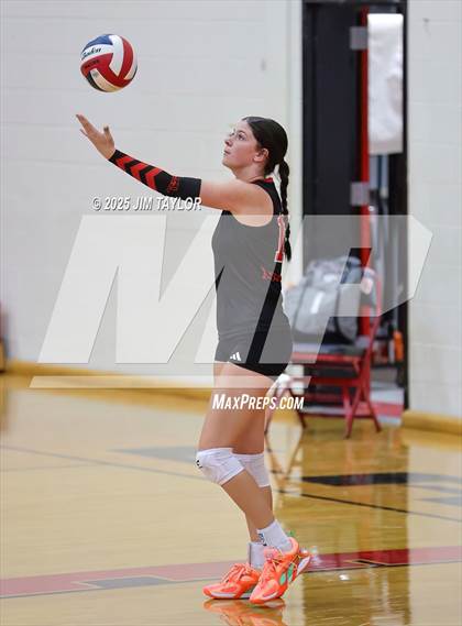 Thumbnail 1 in Albany vs  Aspermont (Eastland Volleyball Showdown 2025) photogallery.