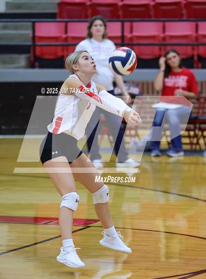 Thumbnail 3 in Albany vs  Aspermont (Eastland Volleyball Showdown 2025) photogallery.