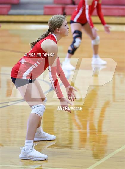 Thumbnail 1 in Albany vs  Aspermont (Eastland Volleyball Showdown 2025) photogallery.