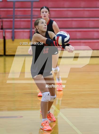Thumbnail 2 in Albany vs  Aspermont (Eastland Volleyball Showdown 2025) photogallery.