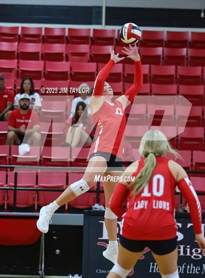 Thumbnail 3 in Albany vs  Aspermont (Eastland Volleyball Showdown 2025) photogallery.