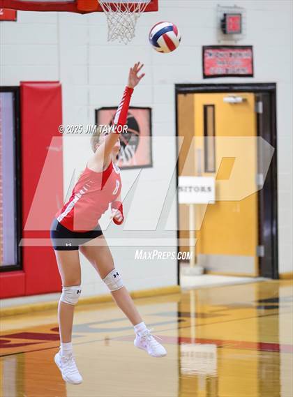 Thumbnail 3 in Albany vs  Aspermont (Eastland Volleyball Showdown 2025) photogallery.