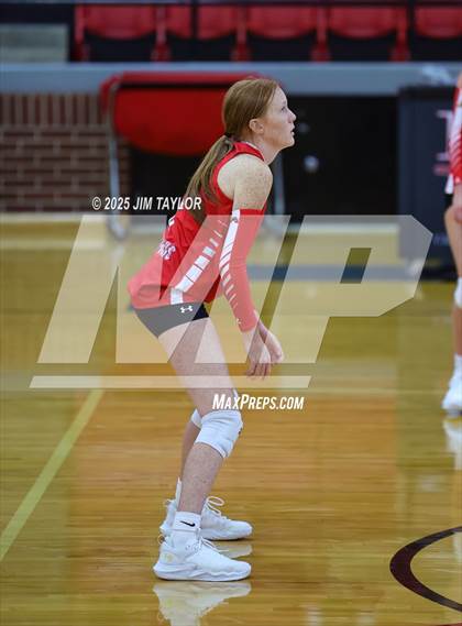 Thumbnail 2 in Albany vs  Aspermont (Eastland Volleyball Showdown 2025) photogallery.