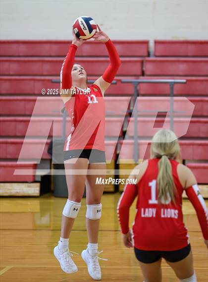 Thumbnail 1 in Albany vs  Aspermont (Eastland Volleyball Showdown 2025) photogallery.