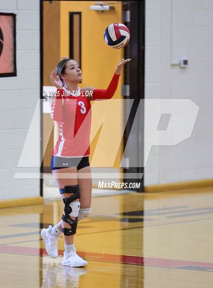 Thumbnail 3 in Albany vs  Aspermont (Eastland Volleyball Showdown 2025) photogallery.