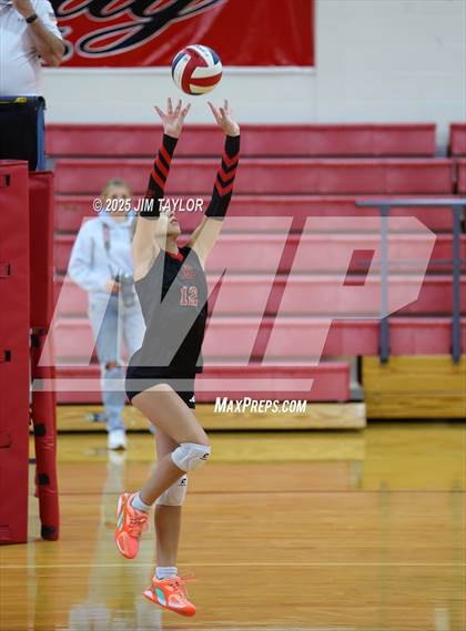 Thumbnail 1 in Albany vs  Aspermont (Eastland Volleyball Showdown 2025) photogallery.