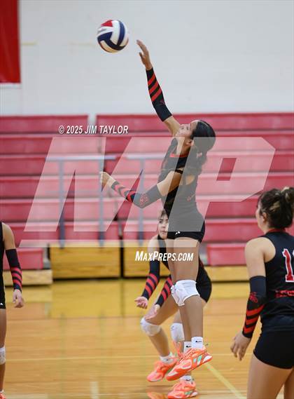 Thumbnail 1 in Albany vs  Aspermont (Eastland Volleyball Showdown 2025) photogallery.