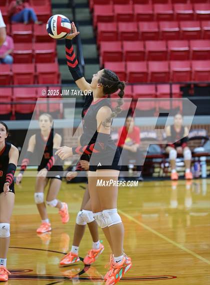 Thumbnail 1 in Albany vs  Aspermont (Eastland Volleyball Showdown 2025) photogallery.